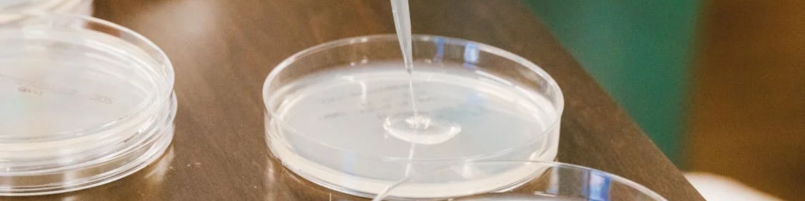 Ciencia, Laboratorio, Contaminación microbiana, Cultivos, Bacterias